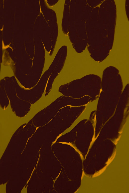 Art print featuring fragmented, rounded forms arranged in loose groupings across a muted green surface, with subtle cracks and glowing edges. Styled in a minimalist interior.