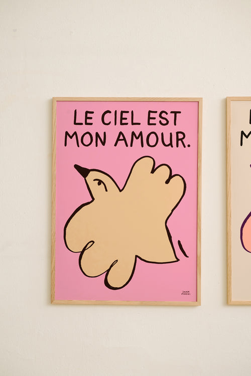 Le Ciel Dusty Pink“ framed artwork with a tan abstract bird on a dusty pink background and French text.