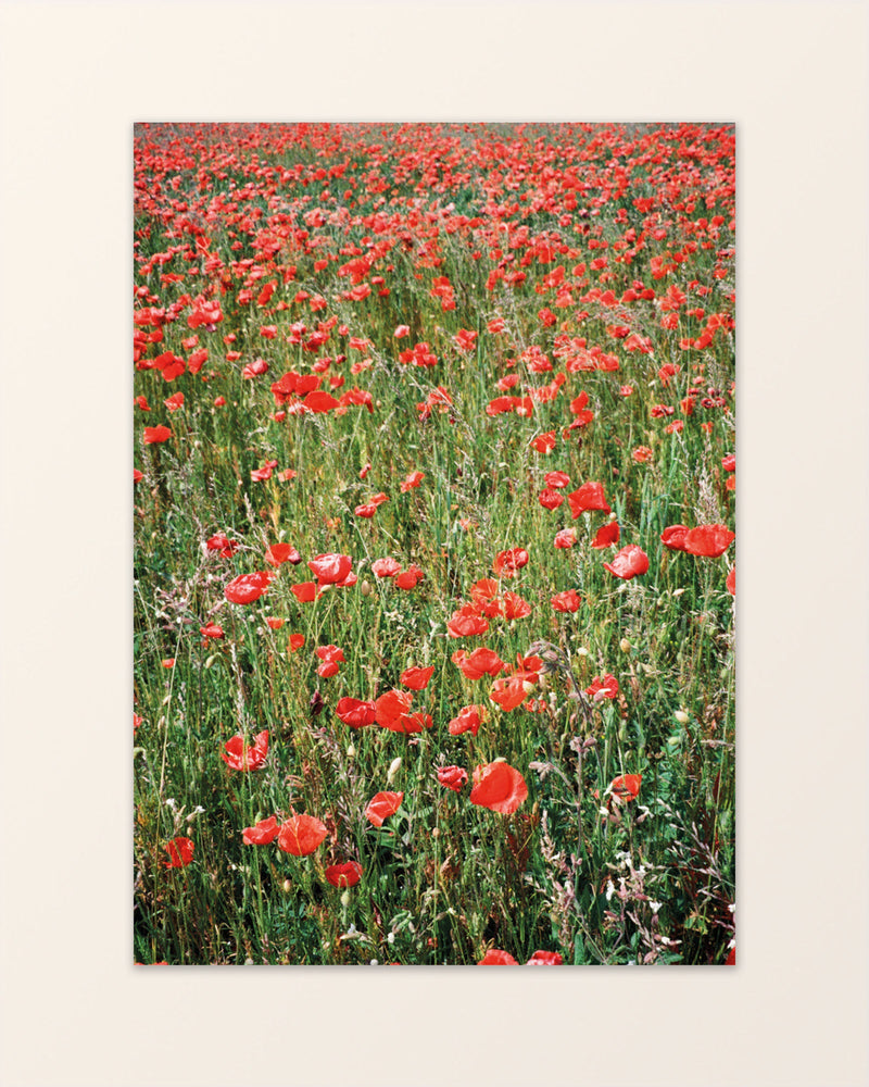 Josefin Lundhall Flower Party Poster