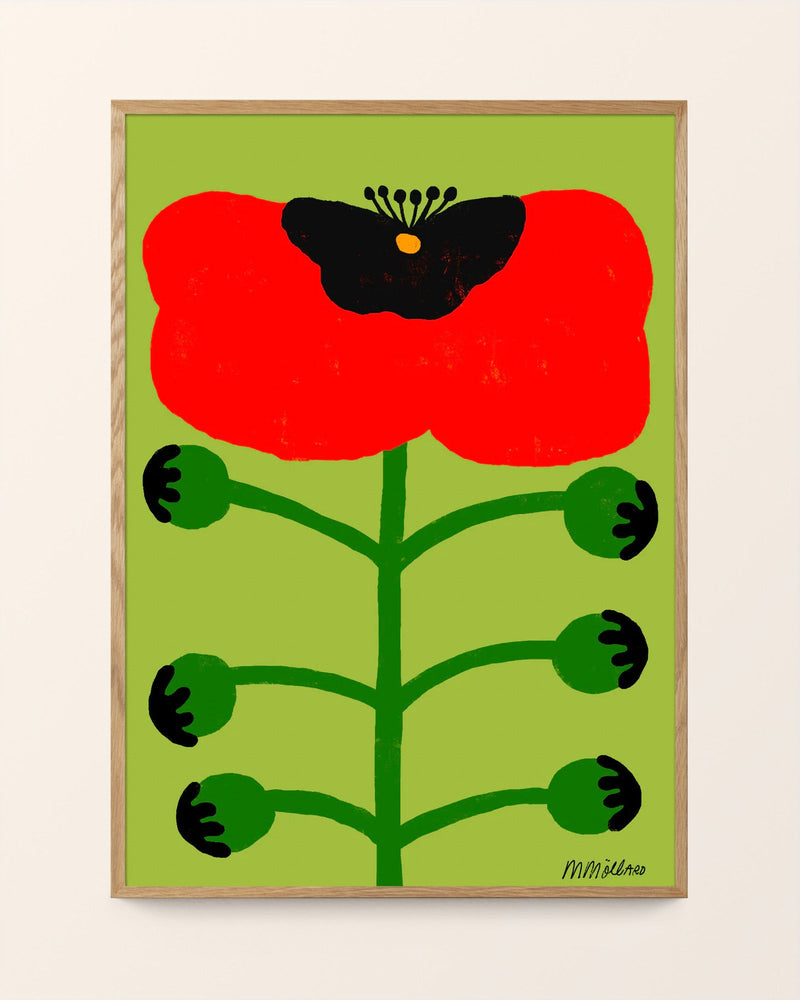 Red Poppy